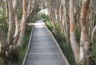 Coolangatta NSWsustainable-landscaping-14.jpg; ?>
