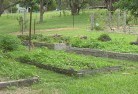 Coolangatta NSWsustainable-landscaping-19.jpg; ?>