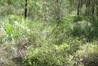 Coolangatta NSWsustainable-landscaping-21.jpg; ?>